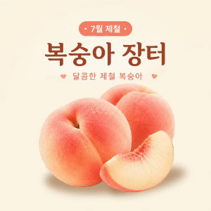 제철 달콤 복숭아