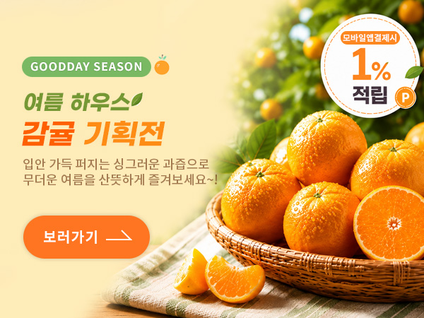 여름 제철 하우스 감귤