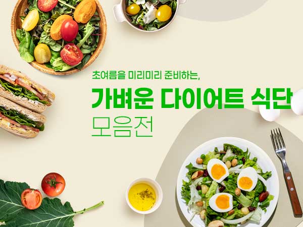 가벼운 다이어트 식단 모음전