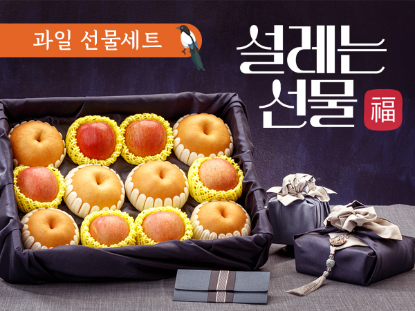 설선물_과일 선물세트