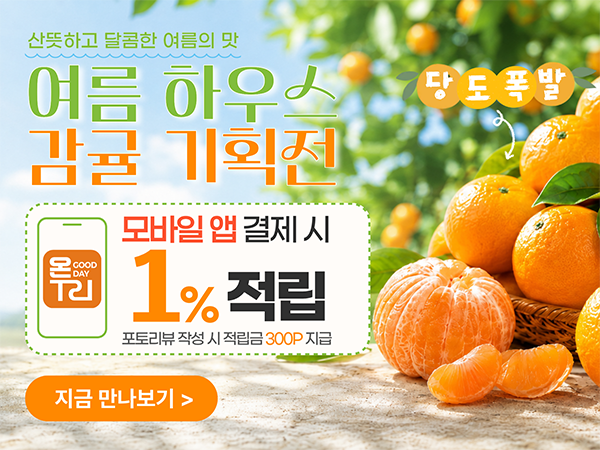여름 제철 하우스 감귤