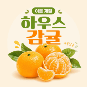 여름하우스감귤