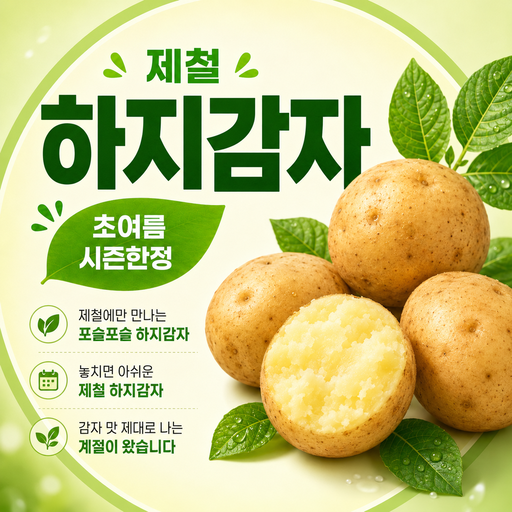 제철에만 만나는 포슬포슬 하지감자