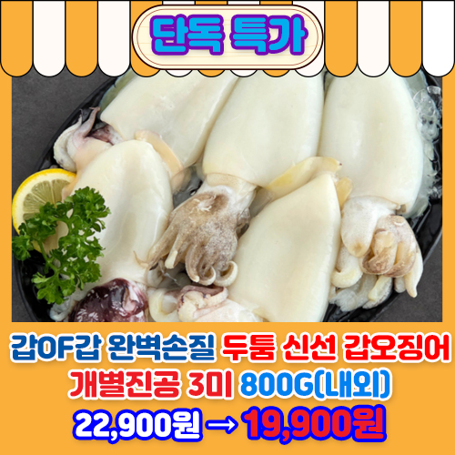갑오징어