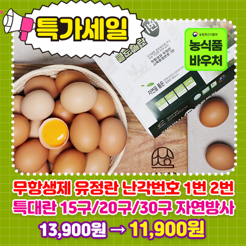 무항생제 유정란