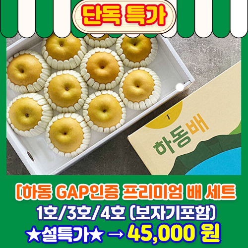 프리미엄 배 세트