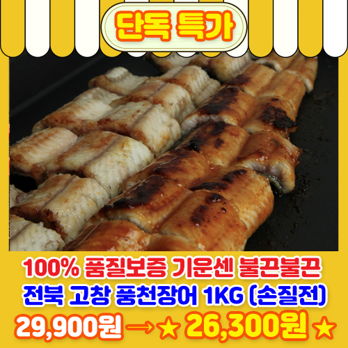 풍천장어