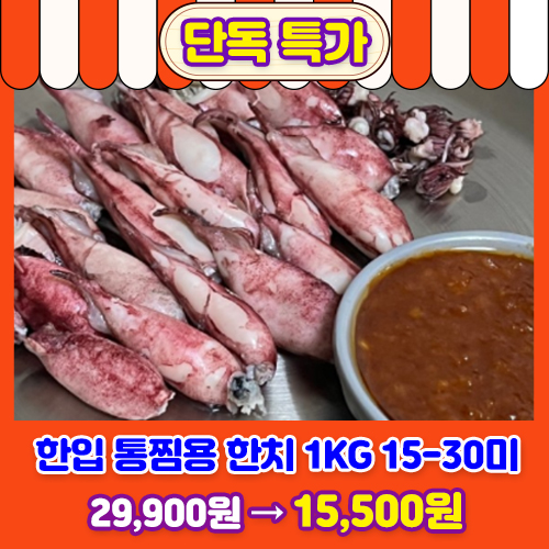 통찜용 한치