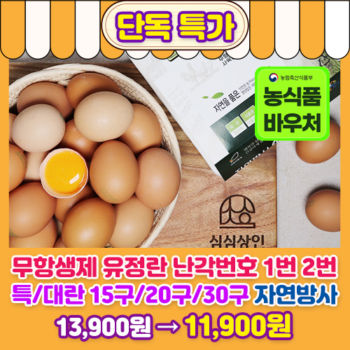 무항생제 유정란