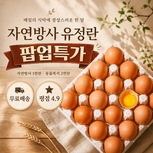 유정란팝업