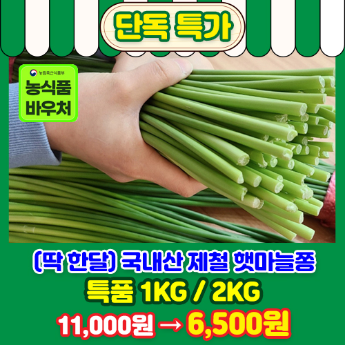 국내산 햇마늘쫑