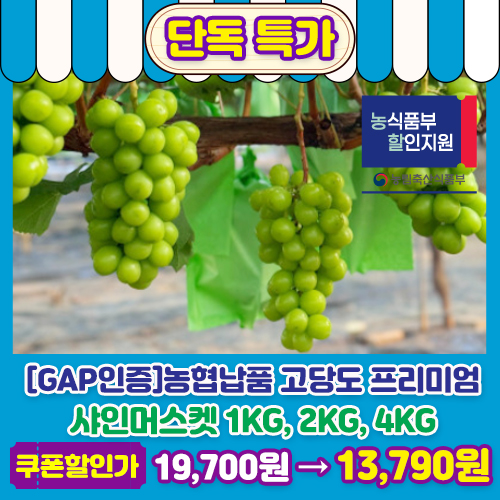 고당도 프리미엄 샤인머스켓