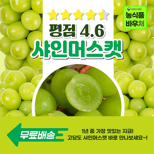 샤인머스캣 단품