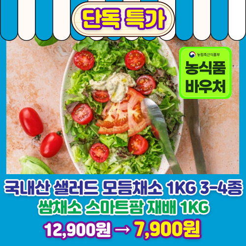 스마트팜 쌈채소