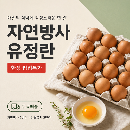 유정란팝업