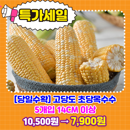 고당도 초당옥수수