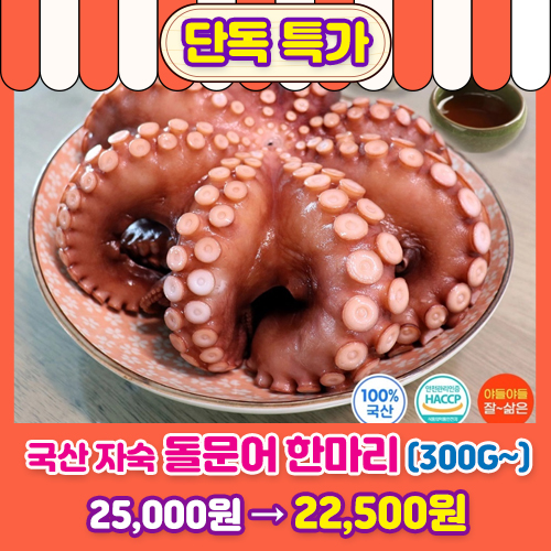  자숙 돌문어