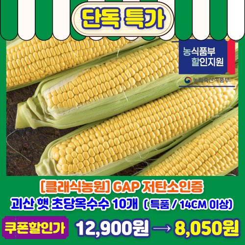 초당옥수수