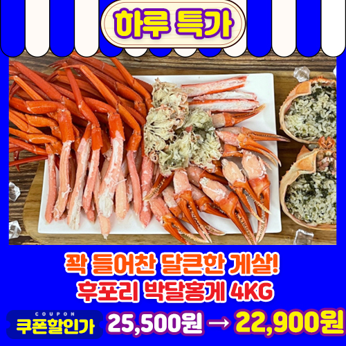 후포리 박달홍게