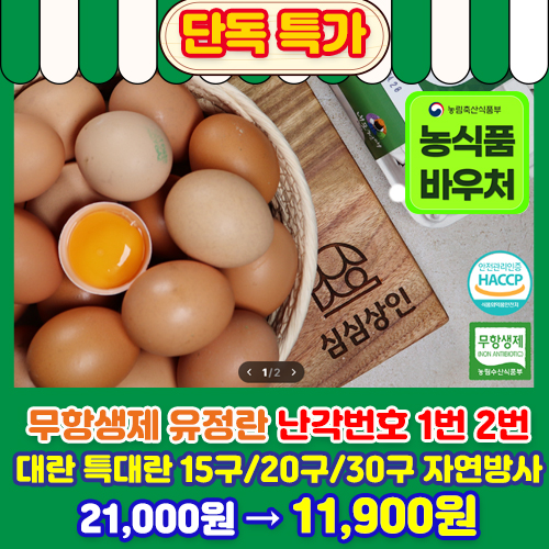 무항생제 유정란