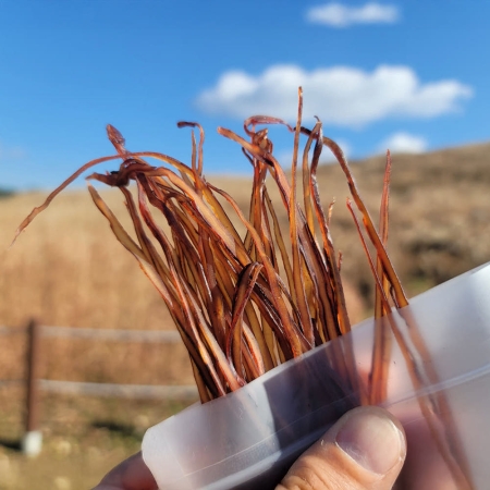 [마산어시장] 오징어소면 100g x1팩/2팩/3팩 이카소멘