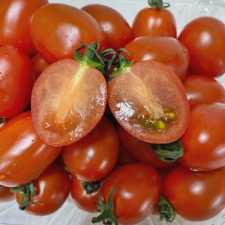 싱싱한 방울토마토 대추방울토마토 2kg 3kg 5kg