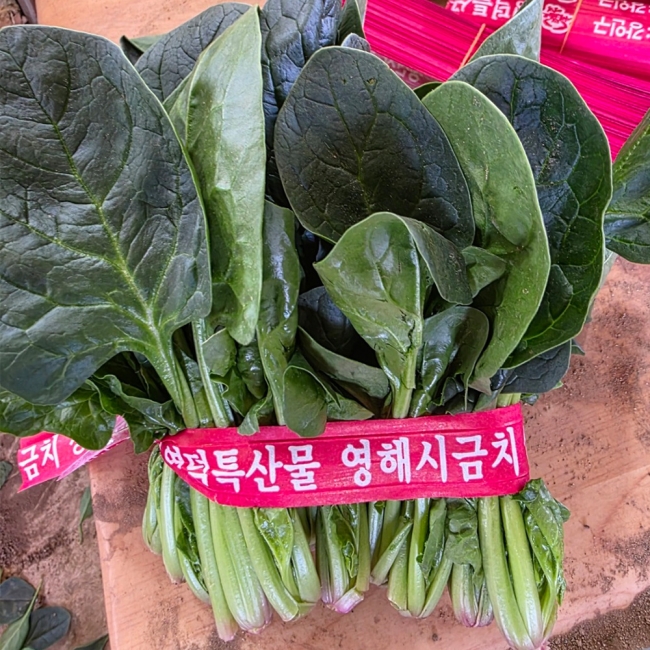 포항영해초1단(300g내외)/ 2단(600g내외)/ 3단(900g내외)/ 4단(1.2kg내외)