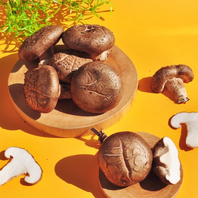 장흥 생표고버섯 1kg / 2kg가정용특품