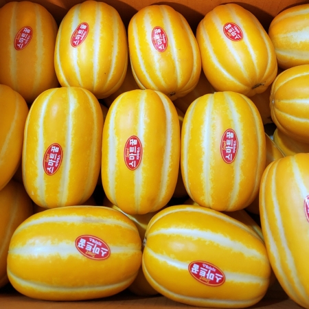  [꿀참외]성주참외 벌꿀 맛있는 참외 가정용 1kg/2kg/5kg/10kg