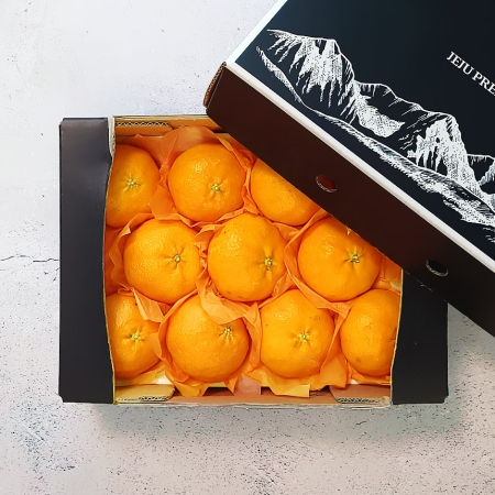 제주 만감류 프리미엄 혼합과 선물세트 4.5kg 레드향 천혜향 한라봉