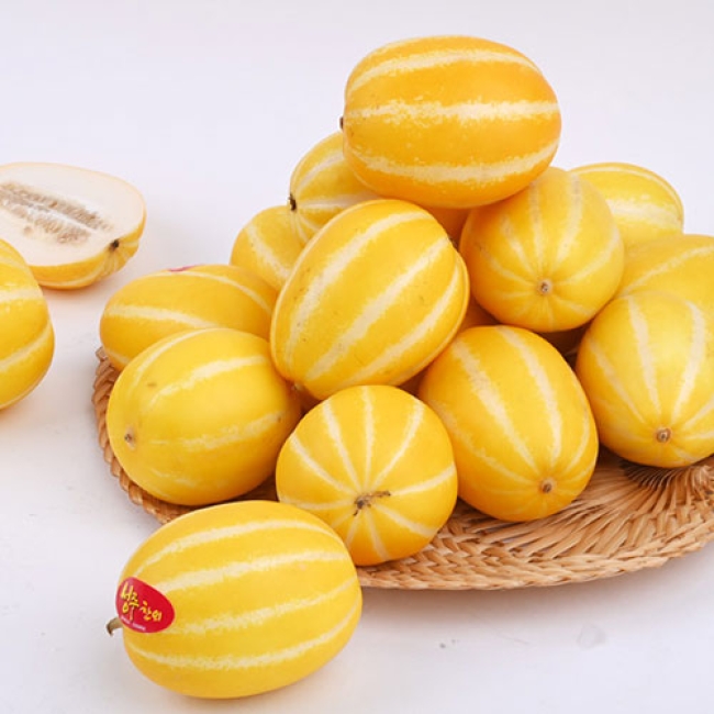 가정용 참외 1.5kg / 2kg/ 3kg/4.5kg/ 5kg