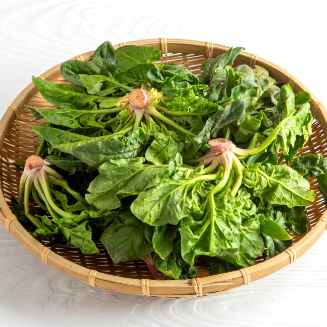 국산 시금치 1kg 내외/2kg 내외