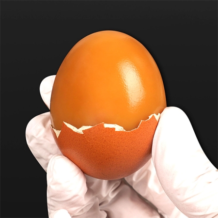 영양만점  구운계란(푸)