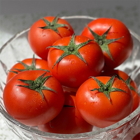 [토마캄스] 완숙 토마토 2kg 3kg 5kg