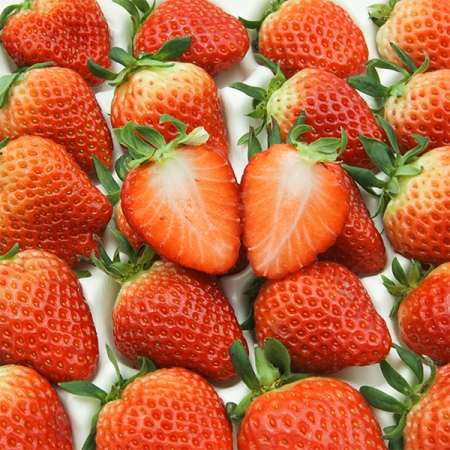 [오커캄스] 논산 설향 딸기