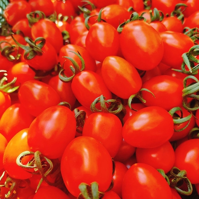 국내산 스테비아 방울토마토 500g / 1kg /1.5kg / 2kg