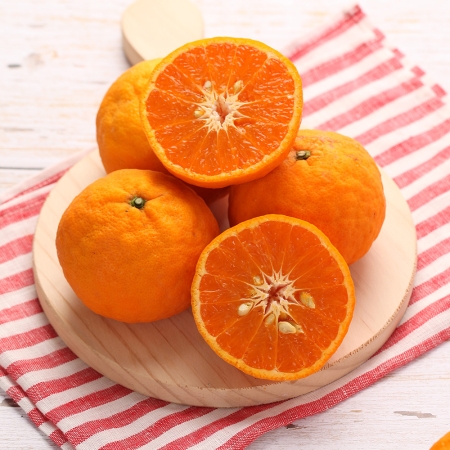 제주도 카라향 제주 고당도 감귤 프리미엄 특품 2kg / 5kg