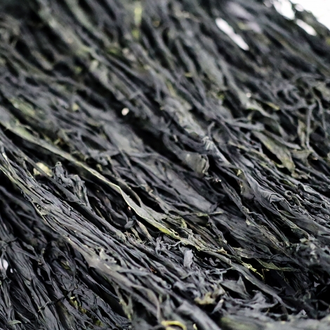 끓일수록 맛있는 초사리 미역 420g 내외