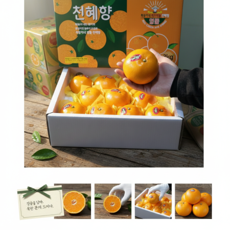 [이가네과일야채] 제주 천혜향  2.5kg~3kg 내외 8과~15과