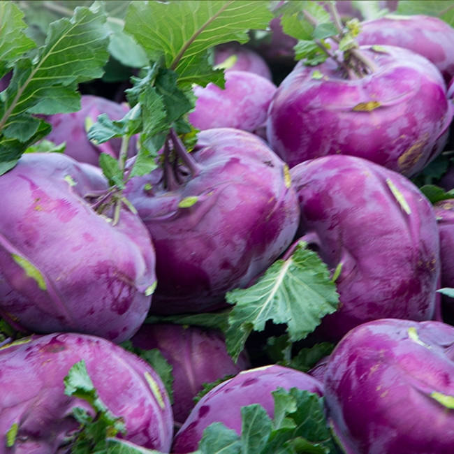 콜라비 2KG/3KG/5KG/10KG 내외