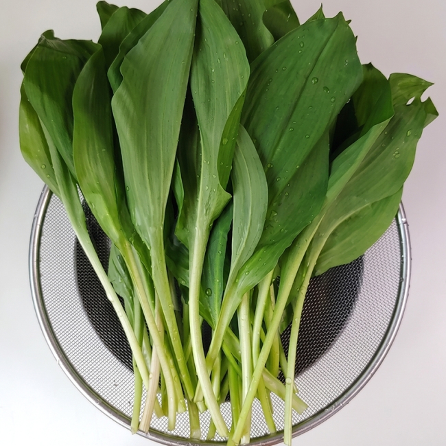 명이나물 500g / 1kg / 2kg / 3kg