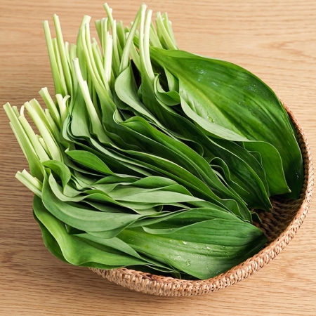 명이나물 500g / 1kg / 2kg / 3kg