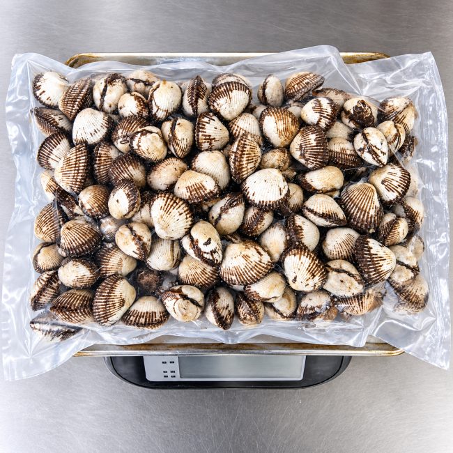 [제철수산] 꼬막무침·꼬막비빔밥용 신선한 새꼬막 1kg