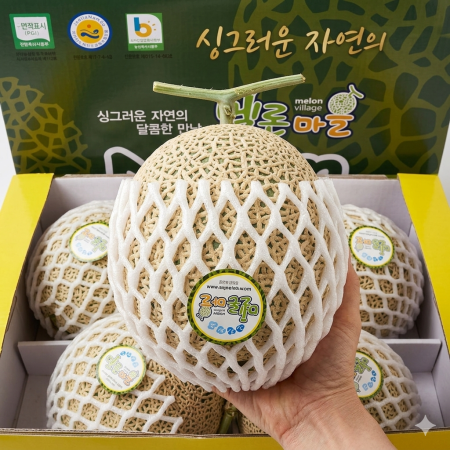 [이가네과일야채] 달고 맛있는 메론 1과 1.5kg 내외