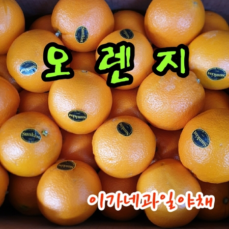 [이가네과일야채]오렌지