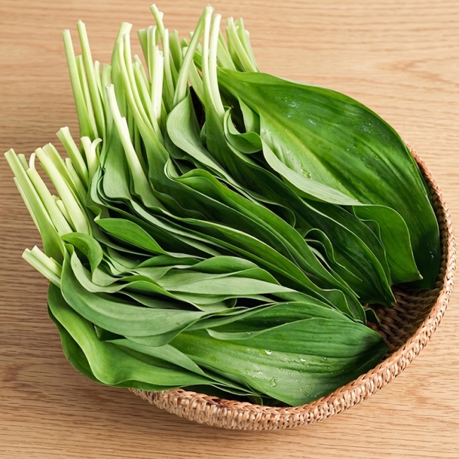 명이나물 500g / 1kg / 2kg / 3kg