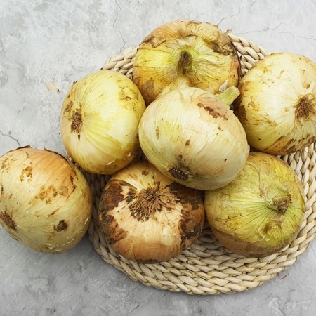 [햇양파] 무안 황토 햇 양파 [소/중/대][3kg-5kg]