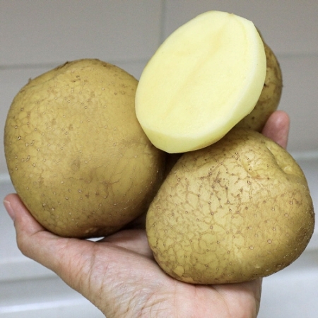 포슬포슬 국내산 보성 햇 감자 수미감자 소 중 대 특 왕 3kg 5kg 10kg