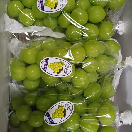 [고흥청과] 샤인머스켓2kg/4kg