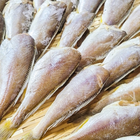 자연산 국산 반건조 두절 참조기 500g (17미 내외 / 손질 후 크기 15cm 내외) / 전남목포